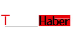 Çiçekleri Topraktan Saksıya Taşırken Nelere Dikkat Etmelisiniz?